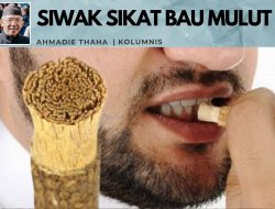 Siwak Sikat Bau Mulut