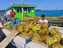 Harga LPG 3 Kg Bakal Satu Harga! Pemerintah Siapkan Skema Baru Subsidi: Ini Kata Bahlil