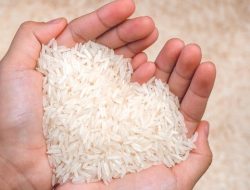 Kementan Ungkap 212 Merek Beras Bermasalah, Wilmar dan Food Station Masuk Daftar