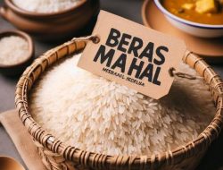 1,3 Juta Ton Dilepas ke Pasar, Harga Beras Diramal Turun Tajam Dua Minggu Kedepan