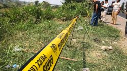 Penemuan Mayat Driver Ojol Perempuan dalam Kardus Bikin Geger Warga Gresik