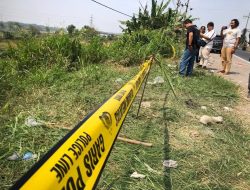 Penemuan Mayat Driver Ojol Perempuan dalam Kardus Bikin Geger Warga Gresik