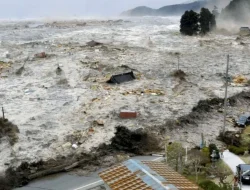 BNPB Imbau Warga 5 Provinsi Jauhi Pantai Imbas Tsunami Gempa Rusia