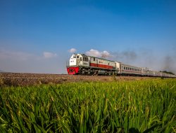Semester I 2025 Moncer! KAI Catat Laba Rp1,2 Triliun, Layani 286 Juta Penumpang