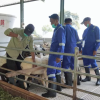 Ekosistem Ternak Berkelanjutan, Ini Jurus PLN EPI Latih Petani Domba Garut