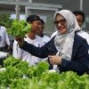 AirNav Gaspol Program Ketahanan Pangan, Latih Warga Hidroponik hingga Bikin UMKM