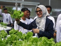 AirNav Gaspol Program Ketahanan Pangan, Latih Warga Hidroponik hingga Bikin UMKM