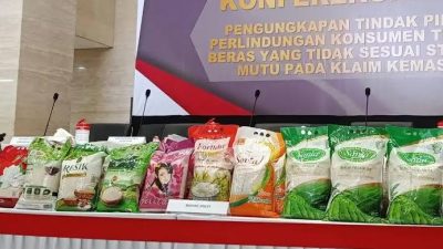 Satgas Pangan Turun ke Lapangan, Pelototi Ribuan Pasar, Cegah Beras Bermasalah Beredar