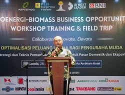 PLN EPI Genjot Biomassa, Target 3 Juta Ton di 2025 Bikin Emisi Turun Drastis