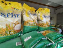 Bapanas Naikkan Harga Beras Medium, Bulog Pasang Rem: SPHP Tetap Murah!