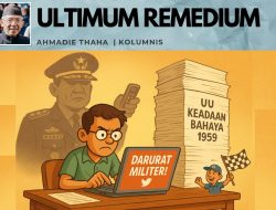 Ultimum Remedium