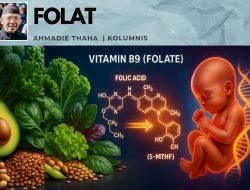 Folat