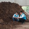Bioenergi Jadi Senjata RI Menuju NZE, PLN EPI Ungkap Tantangan dan Peluang