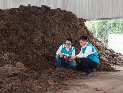 Bioenergi Jadi Senjata RI Menuju NZE, PLN EPI Ungkap Tantangan dan Peluang