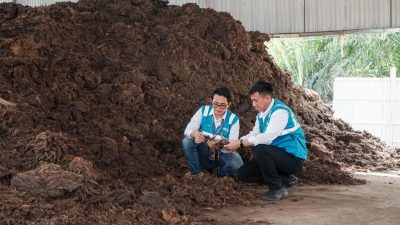Bioenergi Jadi Senjata RI Menuju NZE, PLN EPI Ungkap Tantangan dan Peluang