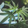 Ganja Bisa Jadi Obat Kanker? Riset Awal Bikin Peneliti Kaget