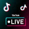 Bukan Ditekan Pemerintah, Menteri Meutya Bilang TikTok Matikan Fitur Live Secara Sukarela