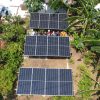 Agroindustri Jamur Merang Karawang Melesat, Biaya Listrik Dipangkas Solar Panel