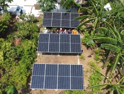 Agroindustri Jamur Merang Karawang Melesat, Biaya Listrik Dipangkas Solar Panel
