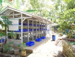 PLN EPI Latih Warga Gunungkidul Ubah Sampah Dapur Jadi Maggot Bernilai Ekonomi