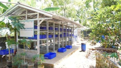 PLN EPI Latih Warga Gunungkidul Ubah Sampah Dapur Jadi Maggot Bernilai Ekonomi