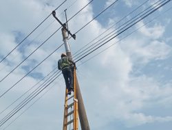PLN Icon Plus Geruduk Cirebon, Ribuan Kabel Fiber Optik Ditata Ulang Demi Jaringan Super Andal