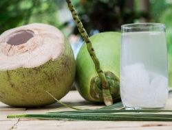 Penderita Diabetes dan Batu Ginjal Disarankan Minum Air Kelapa