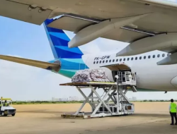 Garuda Gandeng Freightos, Booking Kargo Kini Bisa Online Real-Time!