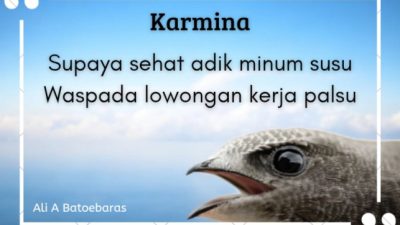 Supaya sehat adik minum susu Waspada lowongan kerja palsu