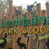 Misteri Macan Tutul ‘Nginap’ di Hotel, Lembang Park & Zoo: Kami Tidak Bisa Memutuskan!