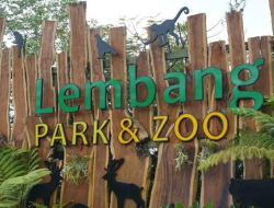 Misteri Macan Tutul ‘Nginap’ di Hotel, Lembang Park & Zoo: Kami Tidak Bisa Memutuskan!