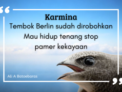 Tembok Berlin sudah dirobohkan Mau hidup tenang stop pamer kekayaan