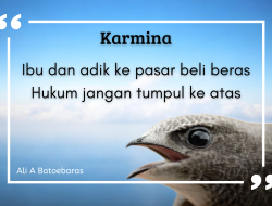 Ibu dan adik ke pasar beli beras Hukum jangan tumpul ke atas