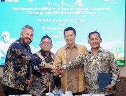 Ekspor 3 Juta Ton, PLN EPI Gandeng Polandia Garap Bisnis Biomassa Kelas Dunia, Pabrik Baru Siap Gelar Februari 2026