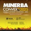 Minerba Convex 2025 Bahasa Mineral Kritis hingga Jaminan Reklamasi yang Bikin Geger!