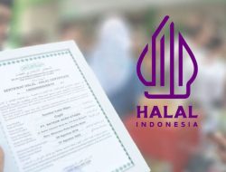 Ini Bukti Sertifikat Halal Tingkatkan Omzet dan Kepercayaan Konsumen 