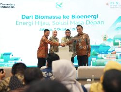 Selamat Tinggal Biomassa! PLN EPI Rebranding Besar-Besaran Demi Energi Hijau 2060