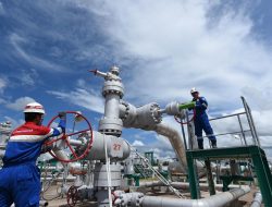 Pertamina NRE Panen Energi! Kinerja 2025 Melejit, Emisi Turun 7 Kali Lipat