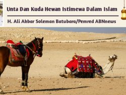 Unta Dan Kuda Hewan Istimewa Dalam Islam