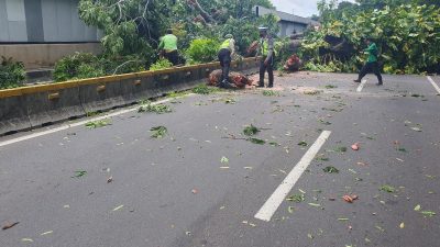 Pohon Tumbang, Transjakarta Koridor 1 Dialihkan, Hindari Kawasan Masjid Agung Jaksel