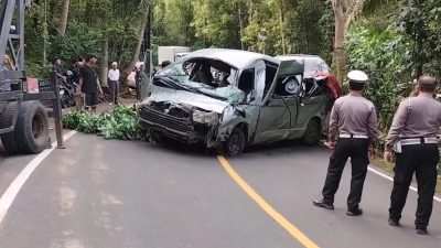 Evakuasi Dramatis Minibus Rombongan China di Jurang Buleleng, Identitas Korban Dirahasiakan!
