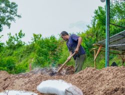 Bioenergi Jadi Kunci Ketahanan Energi, PLN EPI Soroti Peluang dari Limbah Pertanian hingga Sampah