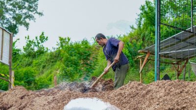 Bioenergi Jadi Kunci Ketahanan Energi, PLN EPI Soroti Peluang dari Limbah Pertanian hingga Sampah