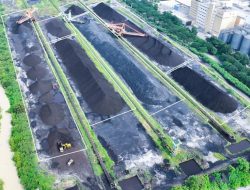 PLN EPI Siapkan ‘Senjata Rahasia’ Hadapi Krisis Batubara: Kapasitas CBF Melesat!