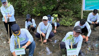 Jaga Pantai dari Abrasi, ASDP Bangun ‘Benteng Hijau’ di Pesisir Mawali