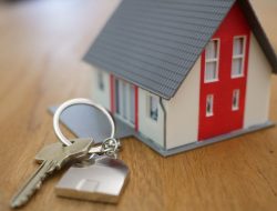 Kaum Milenial Gandrungi Rumah Konsep Eco Living, Open Space dan Smart Home