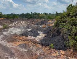 Main di Wilayah Konservasi, Satu Tersangka Baru Jaringan Batu Bara Ilegal di IKN Disikat Bareskrim