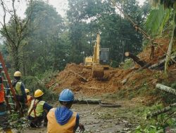 Dua Korban Ditemukan, Operasi SAR Dinyatakan Selesai, 4 Orang Tewas Akibat Longsor di Trenggalek