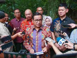 Sri Deli dalam Kondisi Sehat, Pramono Anung Pastikan Isu Pakan Harimau Dibawa Pulang Petugas Tidak Benar