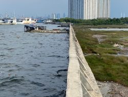 Tanggul Muara Baru Bocor, Pramono Lempar Tanggung Jawab ke Pelindo, Begini Balasannya